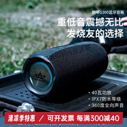 朗琴（ROYQUEEN）G300無(wú)線(xiàn)藍牙音箱重低音炮呼吸RPG燈效可插U盤(pán)便攜式防水家用戶(hù)外 G300-黑色 官方標配 音響+充電線(xiàn)+音頻線(xiàn)