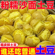隴百味甘肅定西土豆2025年新挖粉糯面沙高山小洋芋鮮馬鈴薯定西特產(chǎn) 3兩起 5斤中果