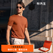 布先生【楊爍同款】新款夏季涼感T恤男士短袖純色針織透氣抗菌基礎(chǔ)百搭 【禮盒】暖焦糖 L (175)