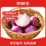 京鮮生 河南紫皮洋蔥帶皮 凈重5斤 單果300g+ 新鮮蔬菜源頭直發(fā)