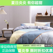 全棉抗菌四件套DH集色時(shí)光【線下專柜同款】 DH集色時(shí)光