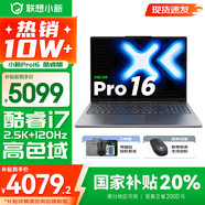 聯(lián)想小新16/小新Pro16GT AI元啟 2025新品可選補貼 高性能輕薄筆記本電腦 學生設(shè)計辦公本 標壓酷睿 13代i7 16G 1TB｜Pro16 國家補貼 16英寸 微邊框高清全面屏
