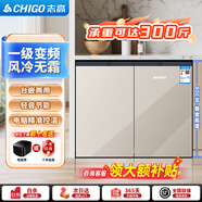 志高臥式冰箱風(fēng)冷無霜變頻一級(jí)能效228升家用嵌入式矮冰箱188升雙冷凍對(duì)開門迷你小型電冰箱 228豪華款【香檳金】一級(jí)變頻/風(fēng)冷無霜/只換不修