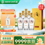 勁牌 毛鋪苦蕎酒 露酒 金蕎 42度 500ml*6瓶 整箱裝