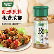 特瑞肯（TRICON）孜然粉燒烤羊肉串火鍋撒料燉肉腌肉牛排炸雞排調(diào)味品35g/瓶送禮