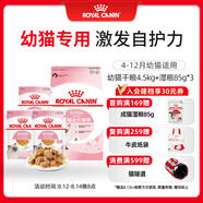 皇家貓糧?幼貓貓糧?干濕搭配?K36 4.5kg+啫喱肉凍KJP 85G*3