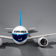 中國南方航空A380飛機模型原型機燈 仿真航?？蜋C禮品擺件發(fā)動(dòng)機模型生日禮物 C919-46cm