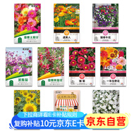 花沃里10款花種子套餐 花卉種子組合太陽(yáng)花鳳仙花向日葵四季種野花種籽