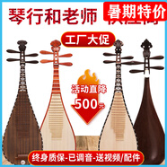 民音專業(yè)琵琶紅木雞翅木花梨木琵琶樂器初學(xué)入門教學(xué)成人琵笆樂器 幼兒【花梨木軸相】演奏級