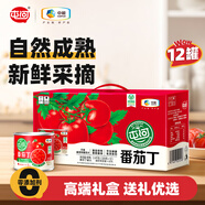 屯河 新疆內(nèi)蒙番茄丁200g*12禮盒 0添加劑西紅柿塊番茄醬罐頭