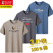 啄木鳥【3件】純棉短袖t恤男士裝2024新款印花半袖體恤寬松青年上衣服 鹿頭卡其+Rea鐵灰+彩色長(zhǎng)條霧藍(lán) L
