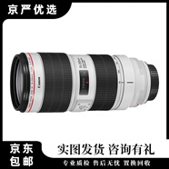 佳能\Canon EF70-200 二手單反鏡頭全畫幅鏡頭胖白 小白三代中長焦遠攝變焦紅圈 人像鏡頭 70-200 F4小小白 99新