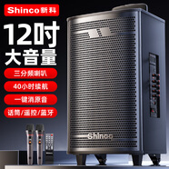 新科T30廣場舞音響戶外大音量拉桿藍牙音箱三喇叭重低音木質(zhì)箱體家用K歌移動擺攤 12吋雙咪