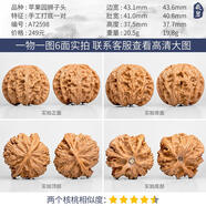 OIDSG老鳳凰999文玩核桃蘋果園磨盤宮燈四座樓白獅子野生小眾南疆石核 A72598 手工打底蘋果園獅子頭43