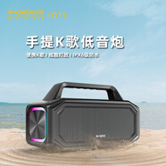 維爾晶維爾晶D11手提便攜K歌藍牙音響U盤播放炫酷燈效六級防水低音炮家庭移動KTV支持雙麥K歌藍牙音箱 雙麥