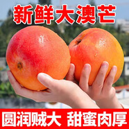 北森南嶼新鮮澳芒新鮮大芒果黃色芒果應(yīng)當(dāng)季現(xiàn)摘甜芒蘋果芒熱帶水果包郵 1斤小果（單果約200g-250g）