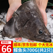 海皇灣格陵蘭進(jìn)口深海冰鮮冷凍鰈魚身鴉片魚頭超大比目魚魚類生鮮批發(fā) 鰈魚頭 700g （兩只裝）