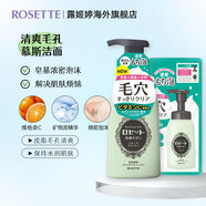 露姬婷（Rosette）控油潔面慕斯毛孔潔凈/清爽抗痘護膚品洗面奶 露姬婷毛孔潔凈款慕斯+補充裝