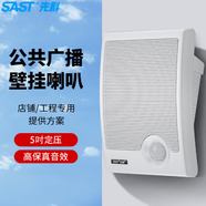 先科（SAST）A2 壁掛音響 音箱 掛壁式音響喇叭 背景音樂公共廣播系統(tǒng) 餐廳會議廣播定壓喇叭 白色