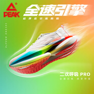 匹克（PEAK）態(tài)極跑鞋男二次呼吸Pro跑步鞋男厚底緩震馬拉松運(yùn)動(dòng)鞋體考訓(xùn)練鞋 乳白/藍(lán) 43