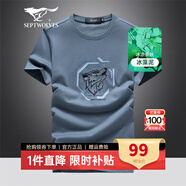 七匹狼（SEPTWOLVES）短袖T恤男夏季冰藻泥男生短袖狼頭印花字母圓領(lǐng)短T打底衫休閑男裝 009(藍(lán)灰)-2813款 XL (175)