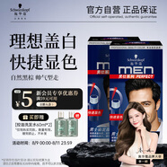 施華蔻（Schwarzkopf）男士染發(fā)霜2.0自然黑雙盒裝 染發(fā)劑染發(fā)膏男士專用蓋白發(fā)一洗黑