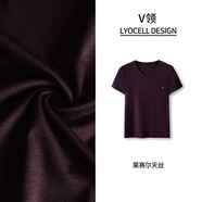 修嫻（soossn）【V領(lǐng)涼感T天絲萊賽爾短袖女2025新款百搭設(shè)計(jì)感顯 龍葵紫 M