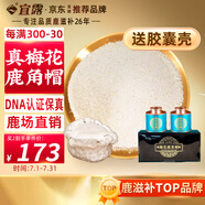 宜露鹿角帽粉梅花鹿角帽打粉吉林雙陽鹿角散粉鹿托盤鹿角膠膠囊
