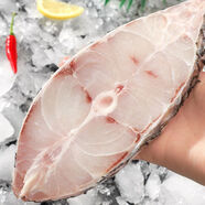 湛江深海赤嘴鳘魚(yú)新鮮特大魚(yú)片米魚(yú)巨大號全中段肉片冷凍淡鹽袋裝 深海野生大鳘魚(yú)/米魚(yú)中段 2500g (大花膠魚(yú))