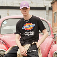 dickies 純棉短袖T恤男 情侶男女同款 印花休閑百搭上衣7087 7087黑色 常規(guī) 2XL
