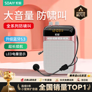 索愛(ài)（soaiy）S318小蜜蜂擴音器教師專(zhuān)用U盤(pán)TF卡麥克風(fēng)喇叭防嘯叫導游藍牙音箱戶(hù)外教學(xué)講課  TYPE-C金