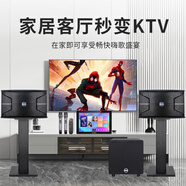 HYUNDAI家庭影院ktv音響套裝電腦電視客廳家用k歌點(diǎn)歌卡拉ok全套設(shè)備10英寸七單元三分頻專業(yè)音響HY-710