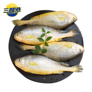 三都港 冷凍三去大黃魚凈重1300g/共3條 寧德黃花魚 生鮮 燒烤