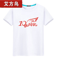 艾方鳥(niǎo)（AIFANGNIAO）同學(xué)聚會(huì)10周年20年30年畢業(yè)紀(jì)念班服圓領(lǐng)文化衫diy 白T10年風(fēng)華 3XL (165-185斤) duan袖