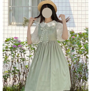 冉藝嵐同款短袖女裝連衣裙2025新款衣服女學(xué)生韓版寬松炸街裙子ins超仙 淺草綠連衣裙 【關(guān)注店鋪送領(lǐng)結(jié) XXS 【兒童建議25斤以下】