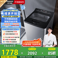 松下（Panasonic）【吳磊推薦】波輪洗衣機(jī)全自動(dòng)10公斤大容量 智能毛毯洗內(nèi)衣洗衣機(jī) 國家補(bǔ)貼不彎腰XQB100-USLKA