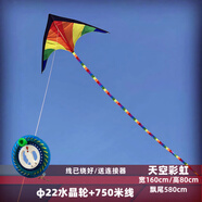 何佳功2025新款天空彩虹風(fēng)箏初學(xué)者兒童初學(xué)者微風(fēng)易飛入門保飛線 天空彩虹+φ22水晶輪+750米線缐