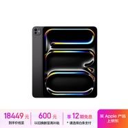 Apple/蘋果 iPad Pro13英寸M4芯片 2024年新款平板電腦(2T WLAN版/標準玻璃/MVX83CH/A)深空黑色