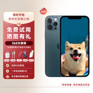 【白條免息】Apple iPhone12 Pro 蘋果12 Pro 國行5G雙卡雙待 二手蘋果手機 蘋果12Pro【海藍(lán)色】 95新 128G【6期免息】