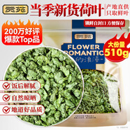 貢苑 花草茶 原味荷葉茶510g 大分量純荷葉片減養生濕脂肥養生茶包葉
