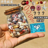 天然海螺貝殼 一斤 精選浮翠流砂貝寶螺魚缸造景裝飾龜缸底砂擺件 許愿瓶約400顆+驚喜盲袋一個(gè)
