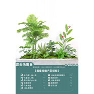 塑料仿真花類(lèi)田園風(fēng)格綠植仿真綠植盆栽室內(nèi)盆景裝飾 餐廳場(chǎng)景綠 渡頭余落日_套