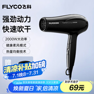飛科（FLYCO）電吹風(fēng)機(jī)家用便攜冷熱風(fēng)護(hù)發(fā)速干吹風(fēng)筒2000w大功率FH6231