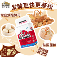 燕子（SAF INSTANT）烘培原料 紅燕子 高活性即發(fā)干酵母粉 500g