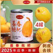 ALL DAY暮春木糖醇枇杷罐頭 新鮮裝罐應(yīng)季去核去皮甜品枇杷即食夏日飲品 暮春枇杷540g*4罐 25年新日期