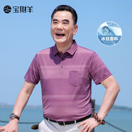 寶財(cái)羊中年男士爸爸夏裝2025新款夏季休閑短袖T恤涼感Polo衫上衣 紅色 S 165【適合95斤-115斤】