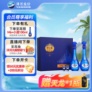 洋河 夢(mèng)之藍M6 52度 500ml*2瓶 禮盒裝 綿柔濃香型白酒 