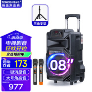 TEMEISHENG 特美聲SL12-31戶外廣場(chǎng)舞K歌音響大功率便攜式拉桿藍(lán)牙演出美聲移動(dòng)音箱戶外藍(lán)牙音箱無線麥克風(fēng) 8吋+2支無線美聲話筒+禮包+支架