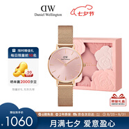 丹尼爾惠靈頓（DanielWellington）DW手表女歐美表簡(jiǎn)約鋼帶石英女士手表送女友七夕禮物DW00100368