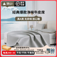 塔山（TASHAN）牛皮席頭層水牛皮涼席夏季純色真皮軟席子A類(lèi)母嬰一擦即凈易清洗 基礎款-曙光灰單席（無(wú)枕套） 1.8米床 180cm*200cm